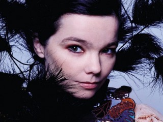 Bjork picture, image, poster