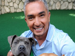 Cesar Millan picture, image, poster