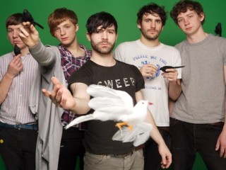 Foals picture, image, poster