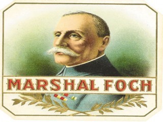 Ferdinand Foch picture, image, poster