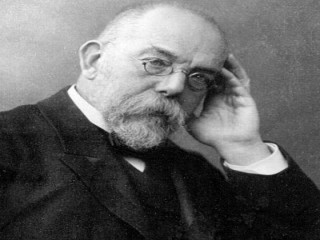 Robert Koch picture, image, poster