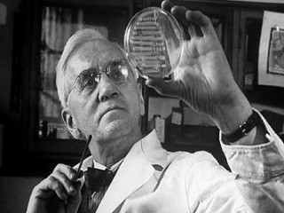 Alexander Fleming picture, image, poster