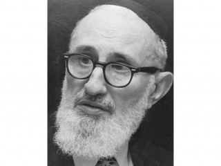 Joseph B. Soloveitchik picture, image, poster