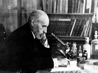 Santiago Ramon y Cajal picture, image, poster