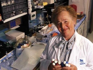 Gertrude B. Elion picture, image, poster