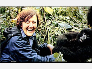 Dian Fossey picture, image, poster