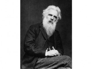 Eadweard Muybridge picture, image, poster