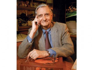 Edward O. Wilson picture, image, poster