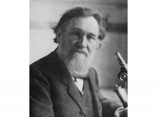 Élie Metchnikoff picture, image, poster