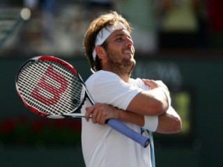 Mardy Fish picture, image, poster