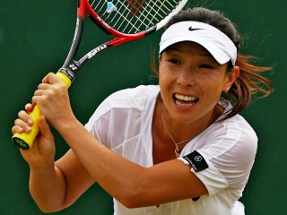 Jie Zheng picture, image, poster