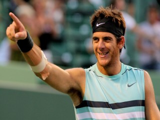 Juan Martin del Potro picture, image, poster