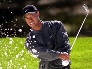 Tiger Woods picture, image, poster