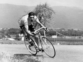 Eddy Merckx picture, image, poster