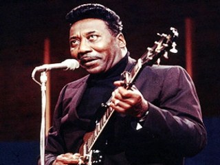 Muddy Waters picture, image, poster