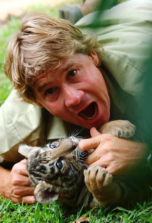 Steve Irwin biography, birth date, birth place and pictures