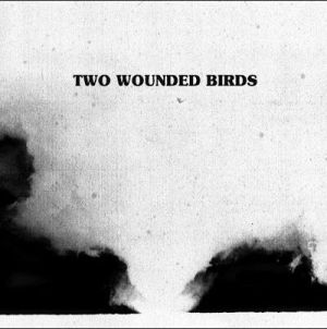 Watch the video premiere of indie band Two Wounded Birds titled If Only We Remain