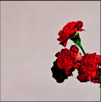 John Legend collaborates with Pharrell, Q-Tip and Hit-Boy for upcoming album